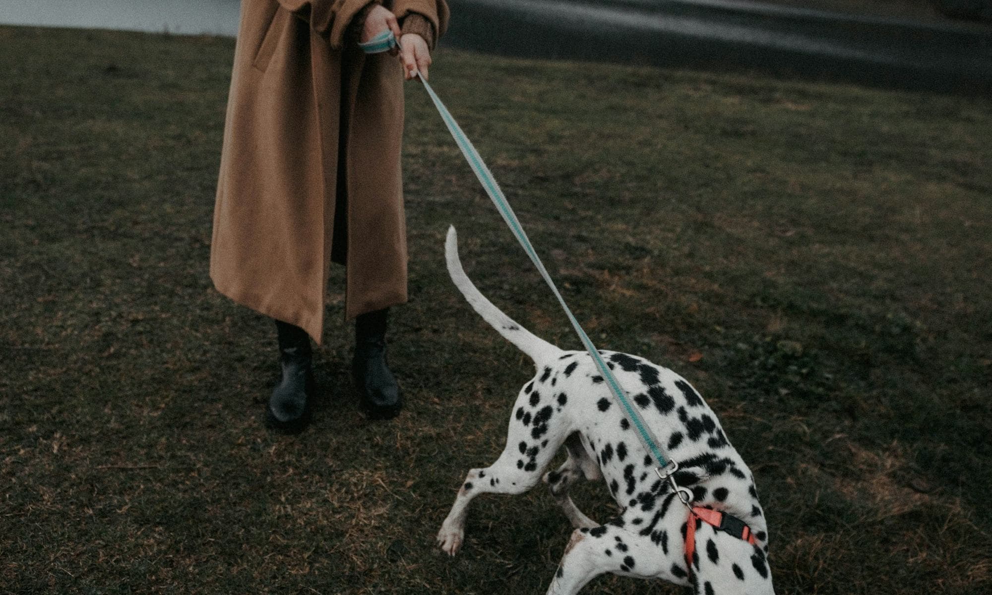 A woman walking her dog beside a lake