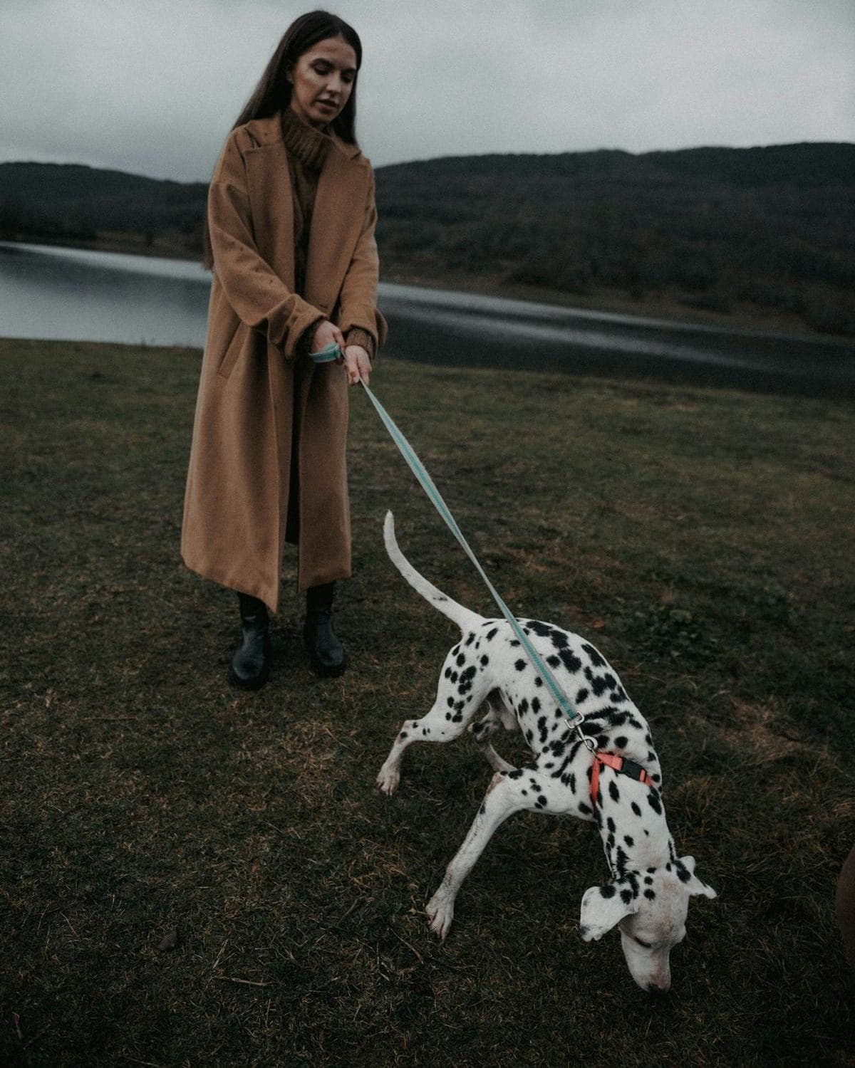 A woman in a long coat walking her dalmatian by a lake