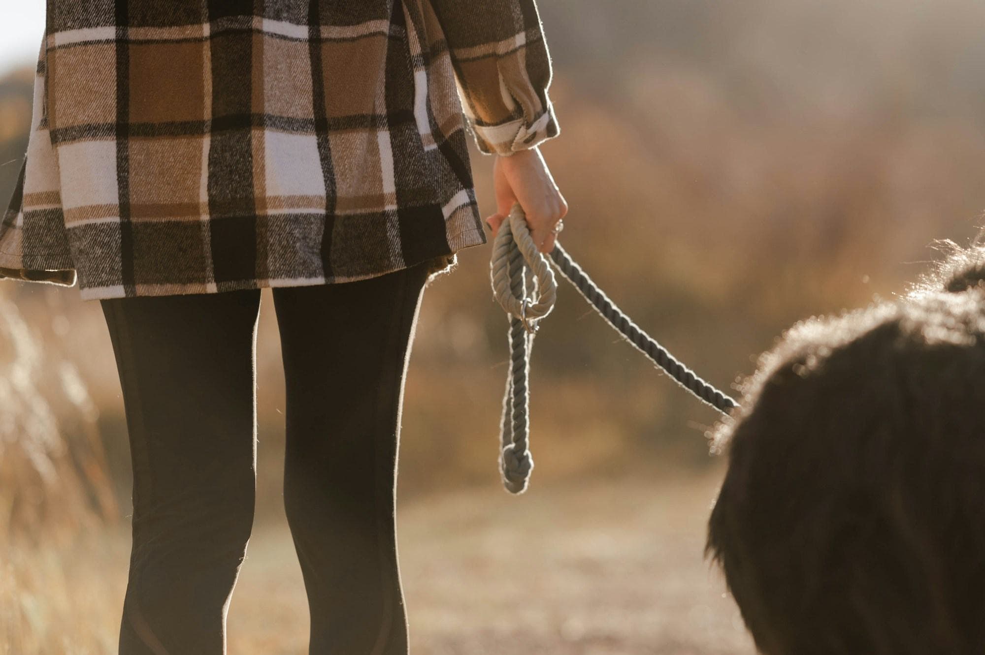 Someone walking their dog on a lead along an autumn path